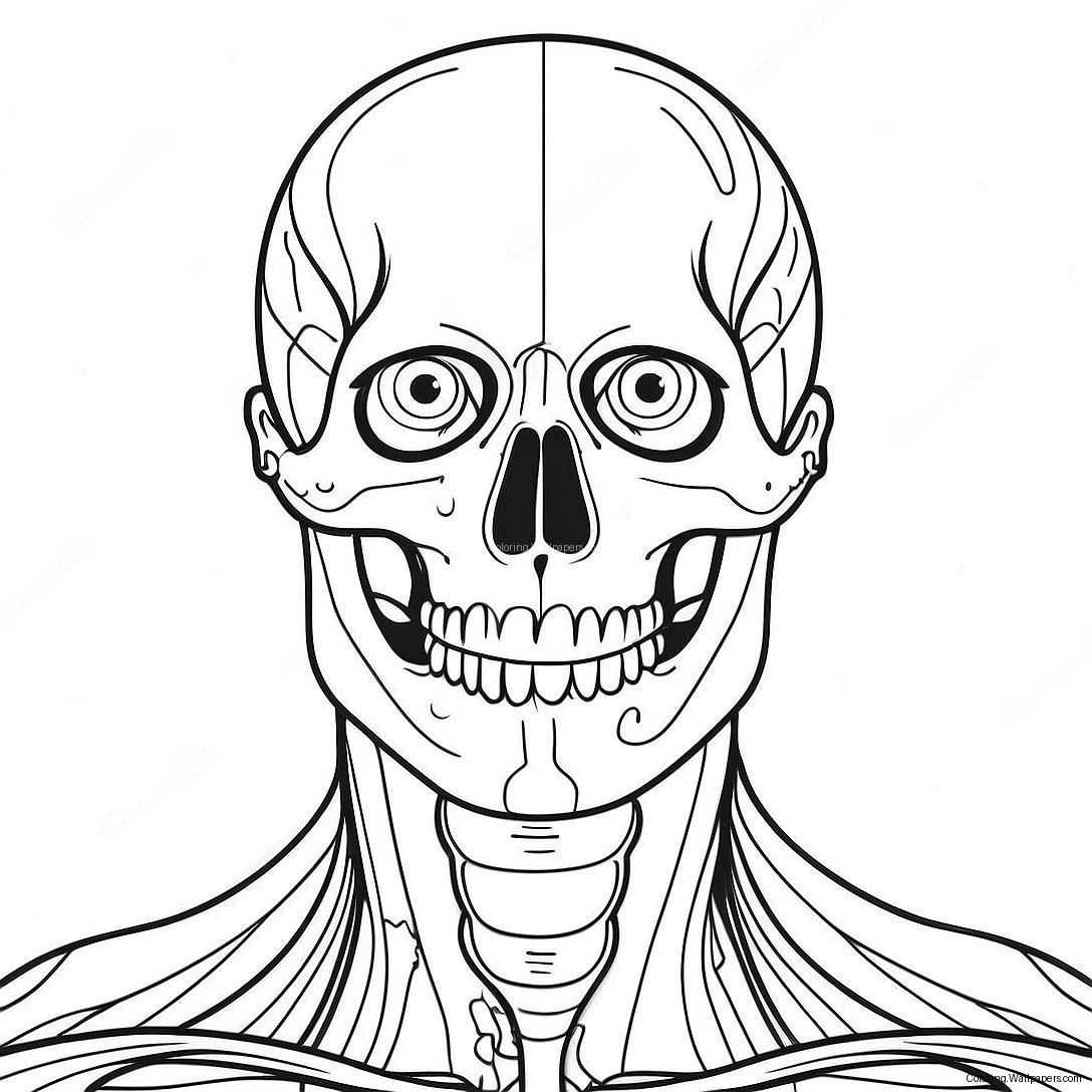 Anatomian Värittämissivu 796