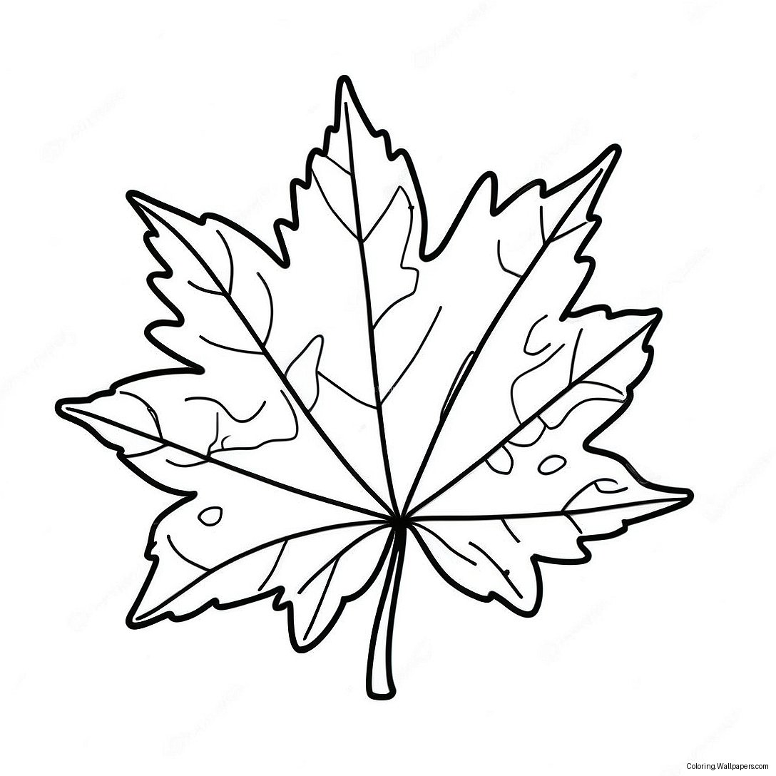 Autumn Maple Leaf Coloring Page 31135