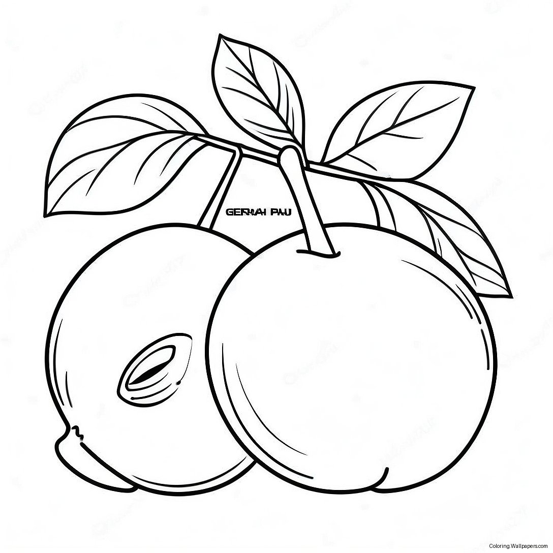 Beautiful Georgia Peach Coloring Page 28659