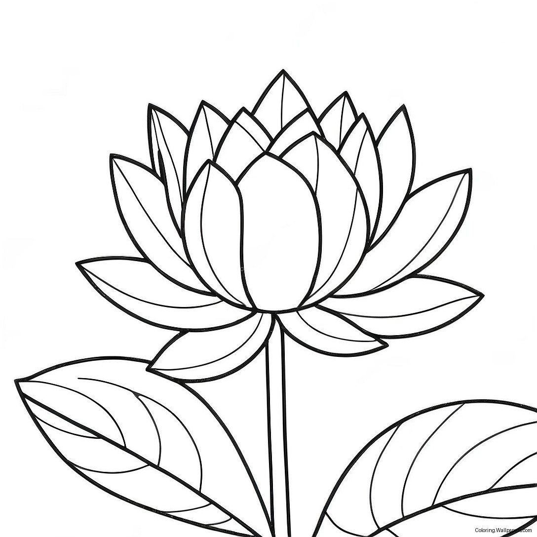 Beautiful Lotus In Bloom Coloring Page 6329