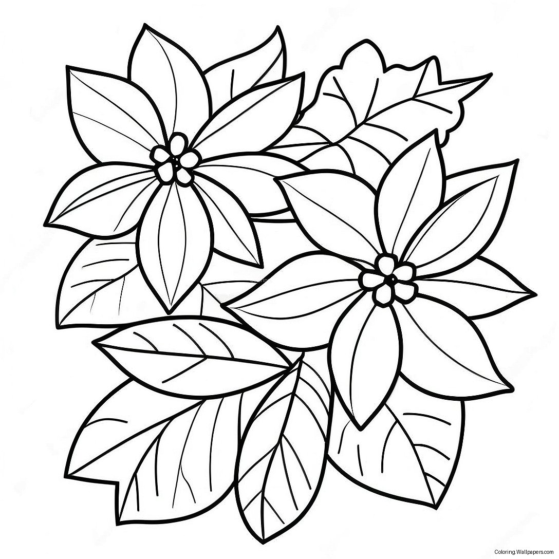 Pagini De Colorat Cu Planta Poinsettia Frumoasă 25765