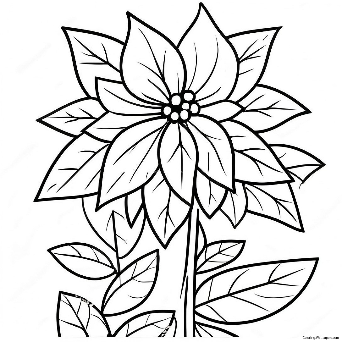 Beautiful Poinsettia Plant Coloring Page 25767