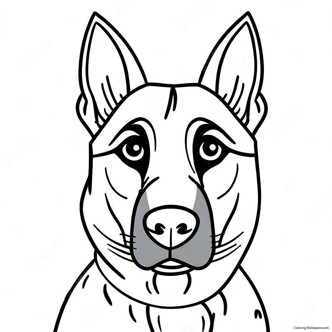 Belgian Malinois Dog Coloring Page 57310