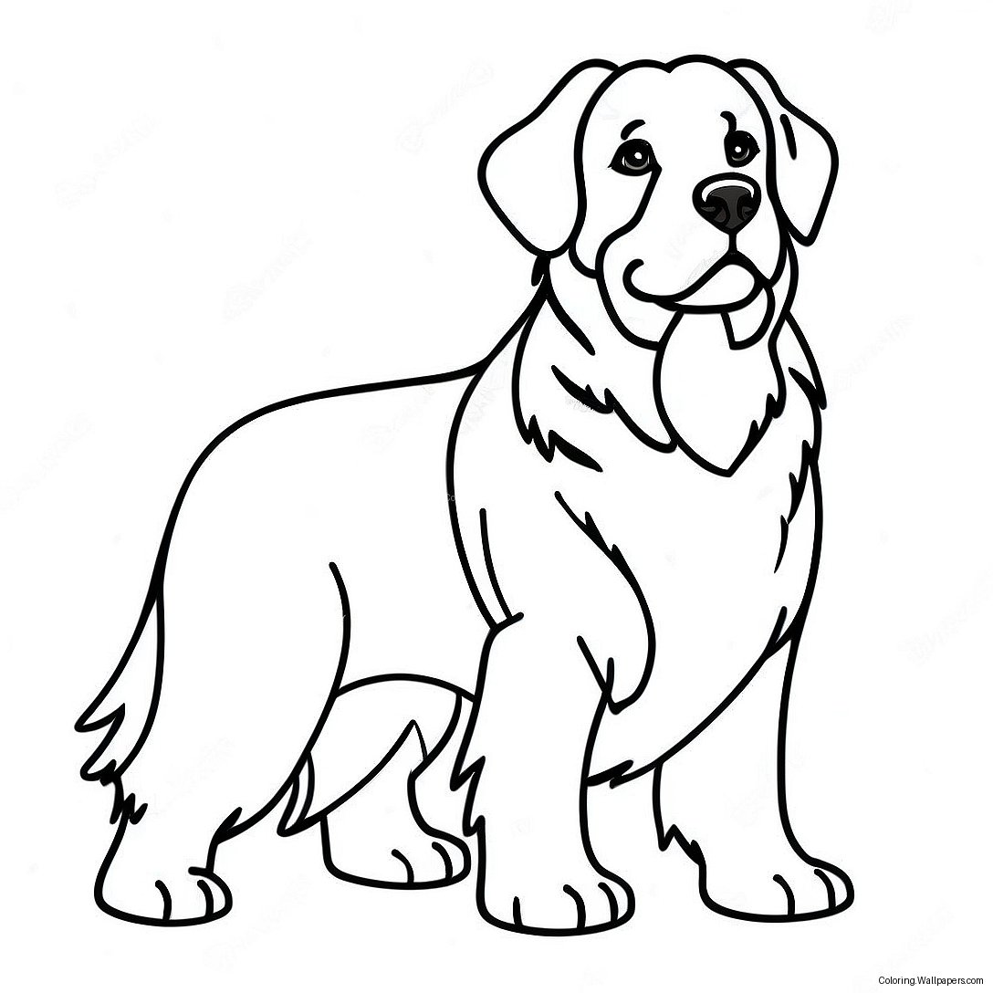 Bernese Mountain Dog Coloring Page 27800