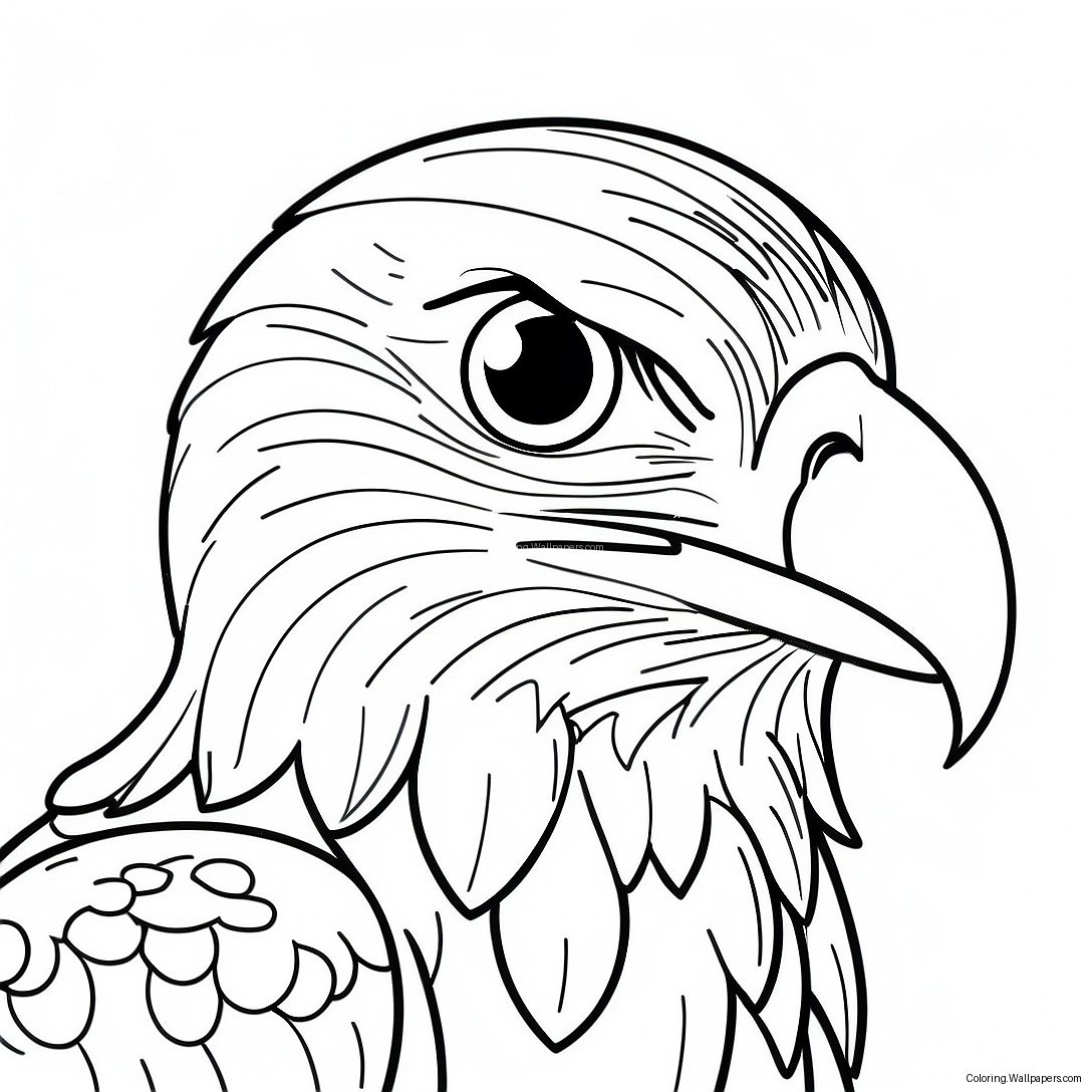 Birds Of Prey Coloring Page 46332