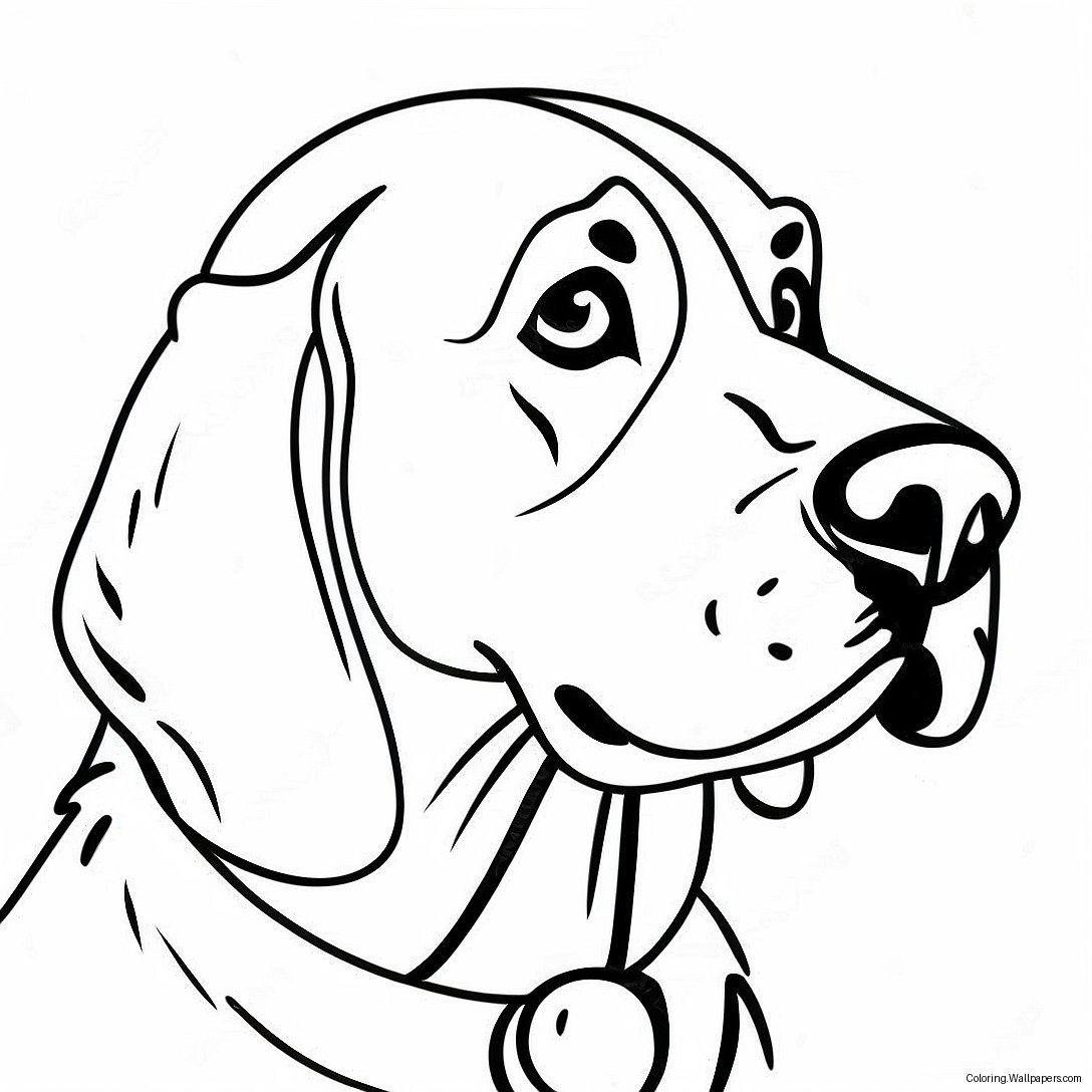 Bloodhound Coloring Page 56862