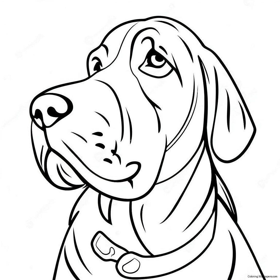 Bloodhound Coloring Page 56863