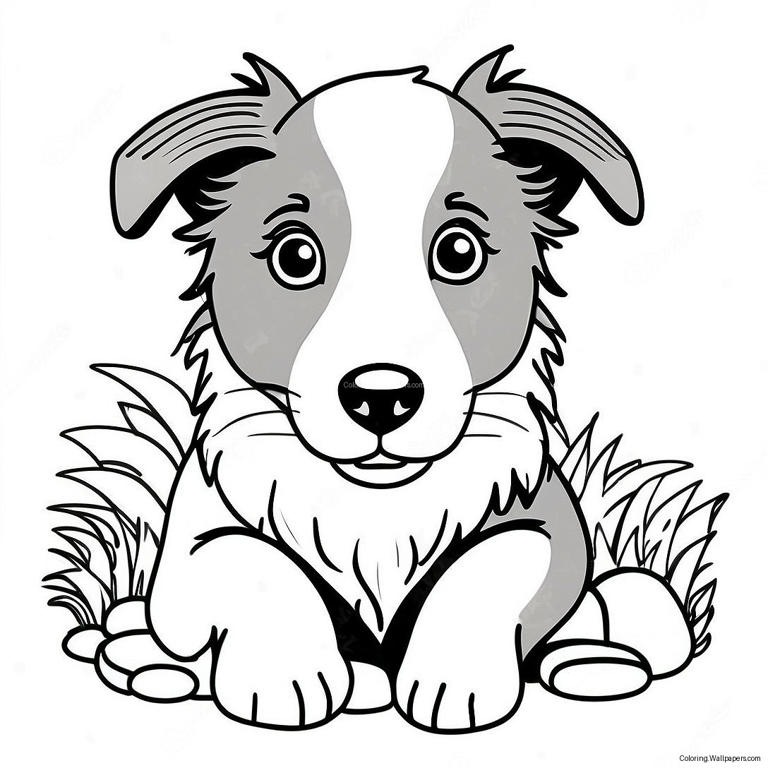 Border Collie Valp Fargeleggingsark 34257