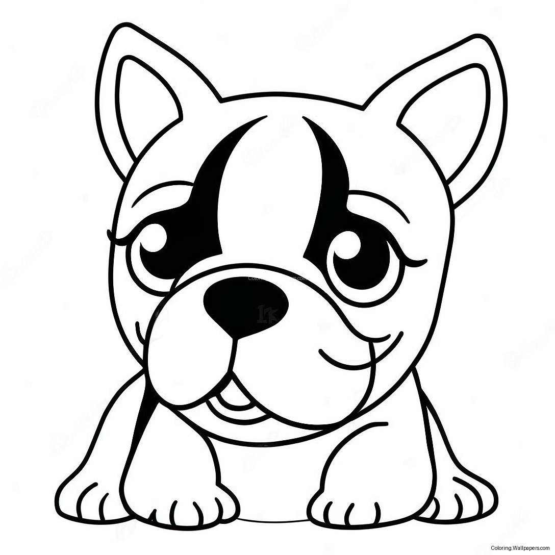 Pagini De Colorat Cu Cățelul Boston Terrier 12884