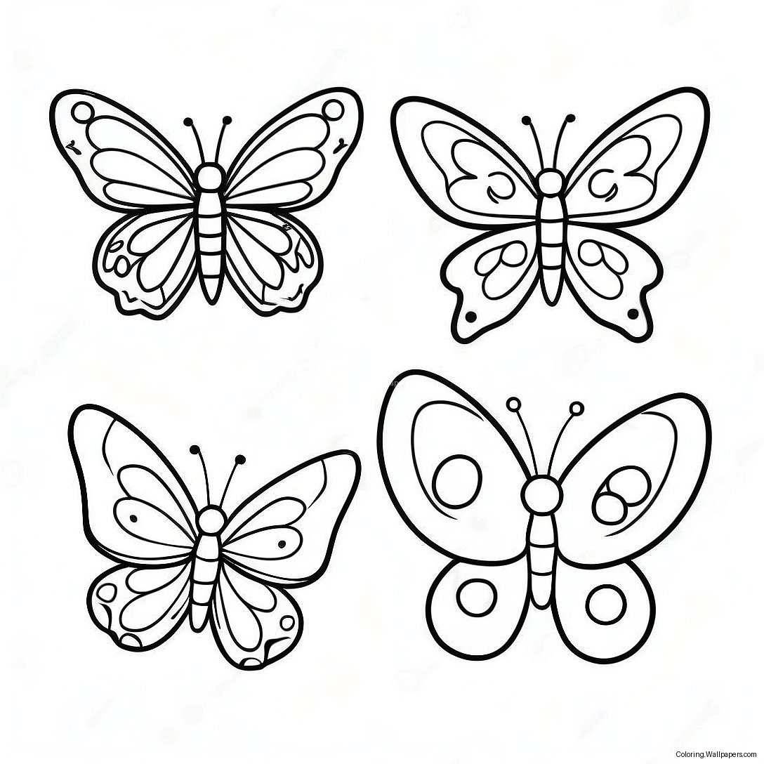 Butterfly Life Cycle Stages Coloring Page 11622