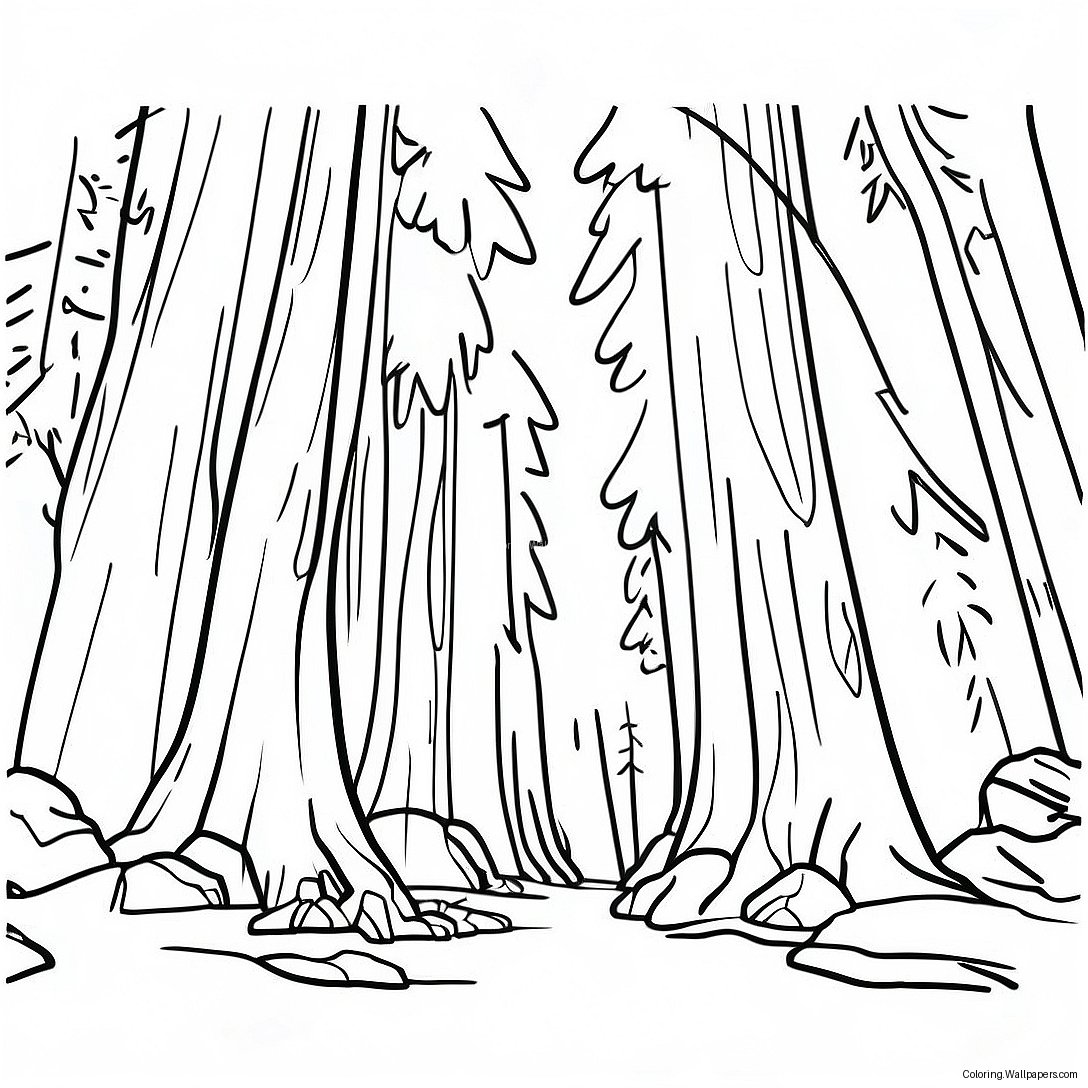 California Redwood Forest Coloring Page 11922