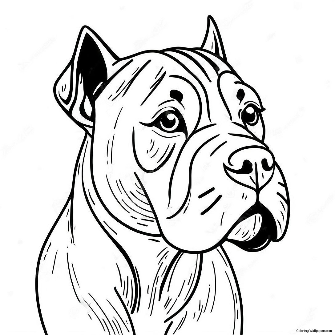 Pagini De Colorat Cane Corso 43323