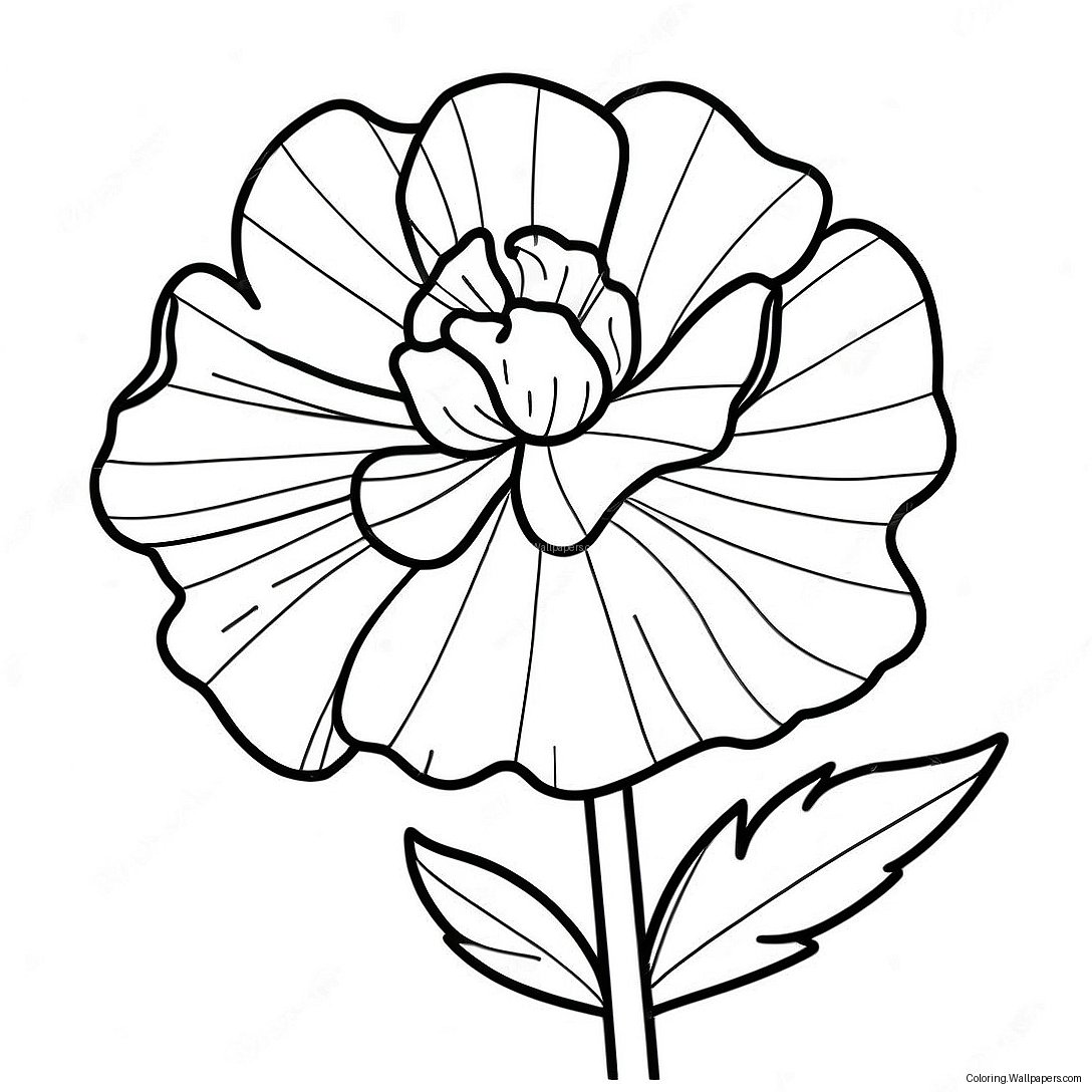 Carnation Flower Coloring Page 51982