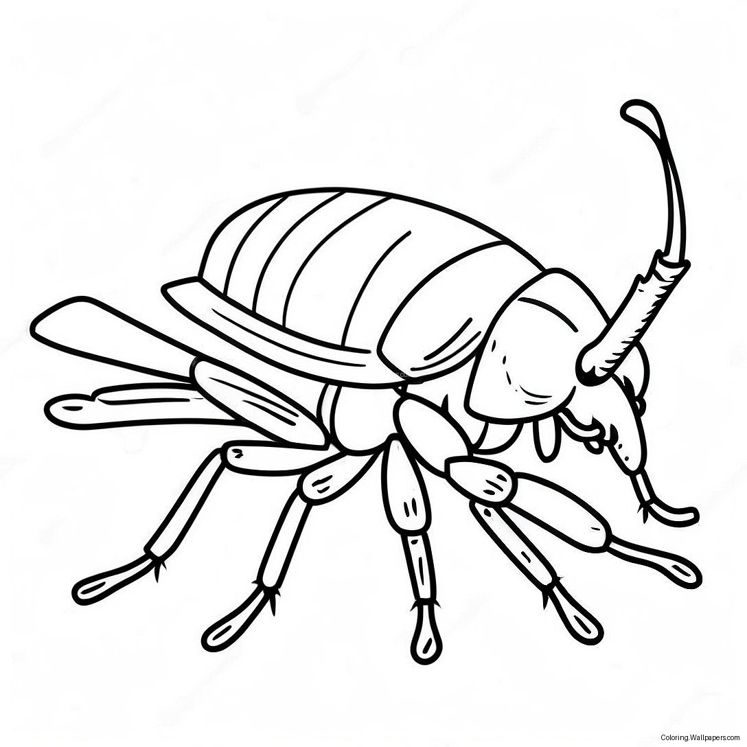 Cockroach Coloring Page 51129