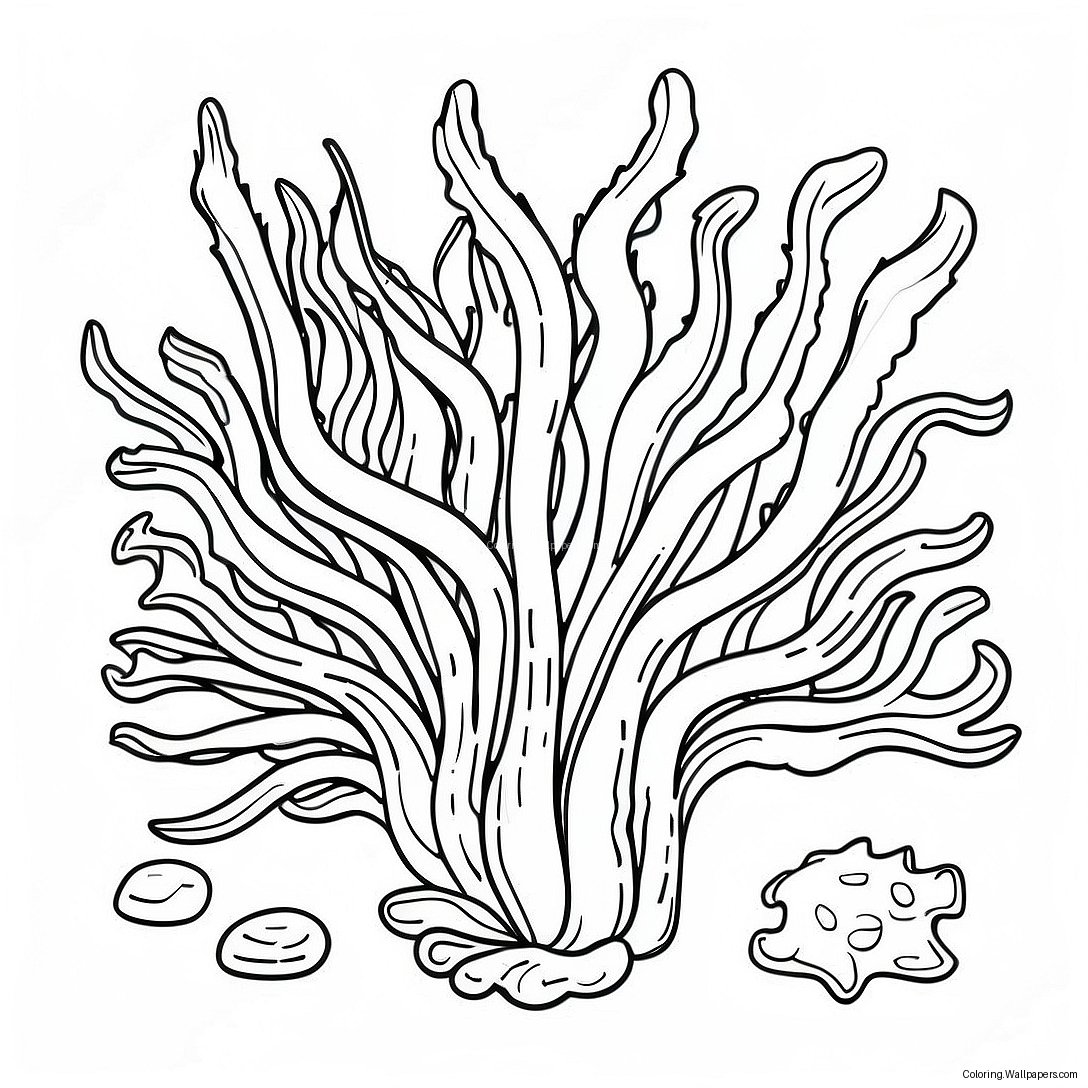 Colorful Seaweed And Algae Coloring Page 49751