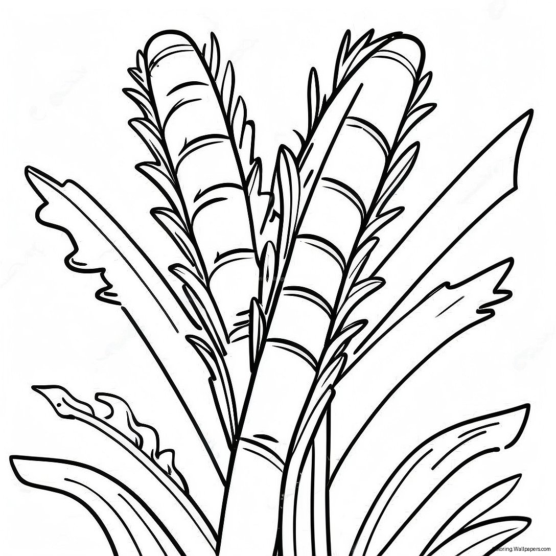 Cornstalk Coloring Page 27109