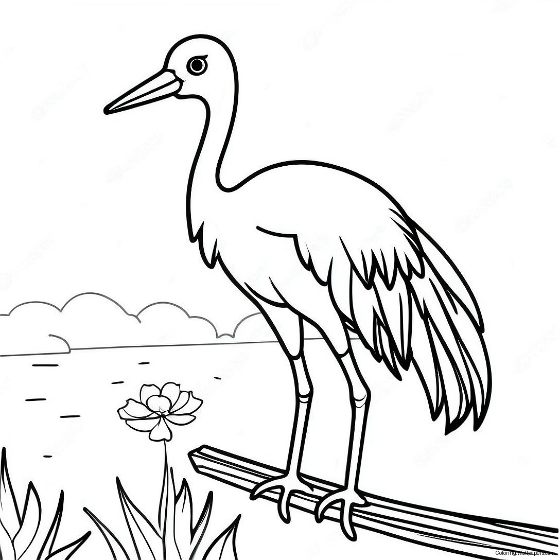 Crane Coloring Page 25681