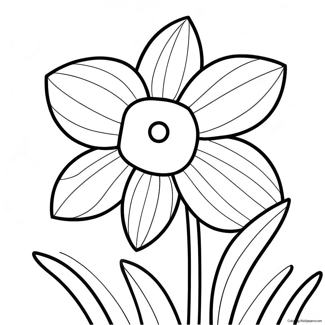 Daffodil Flower Coloring Page 17668