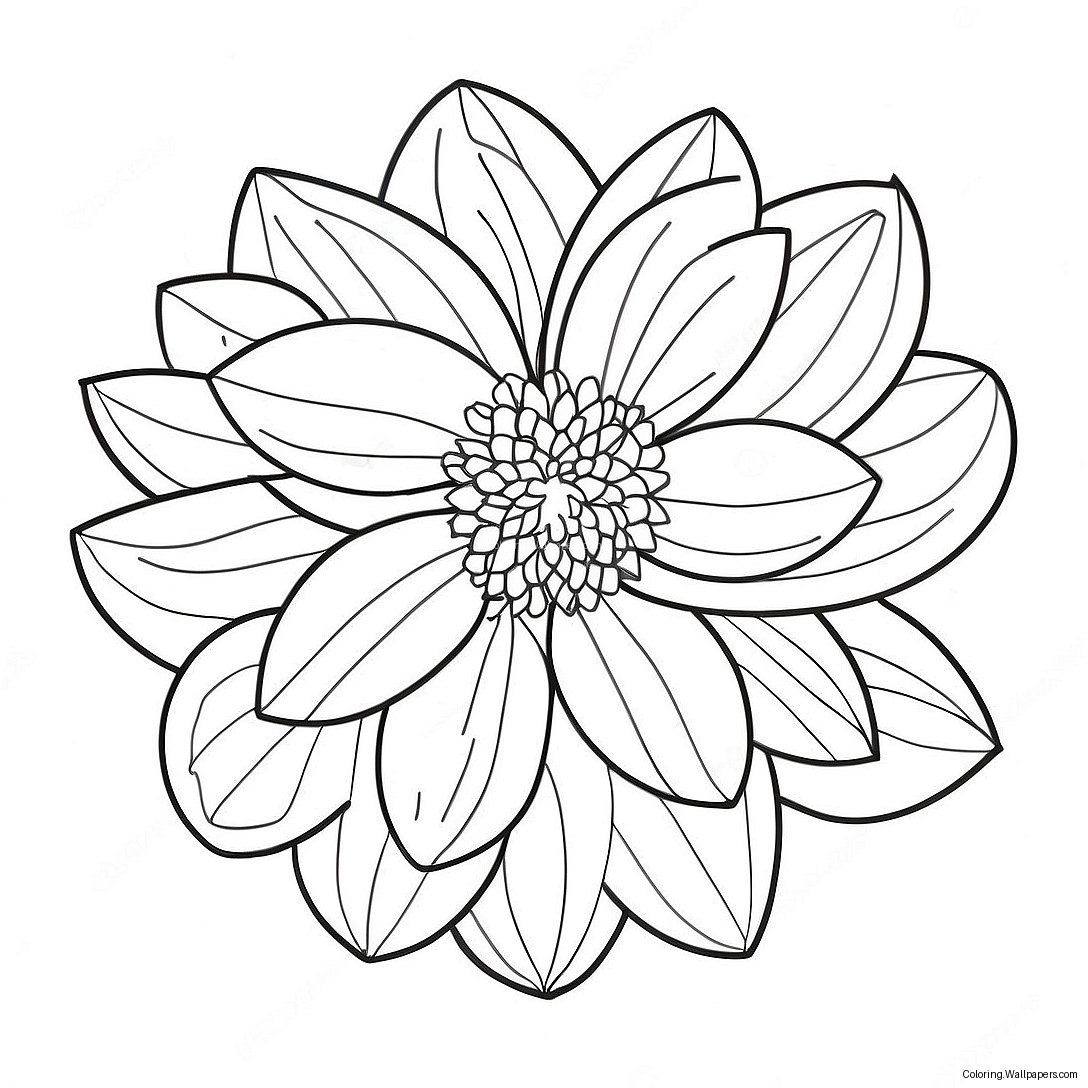 Pagina De Colorat Floare Dahlia 38878