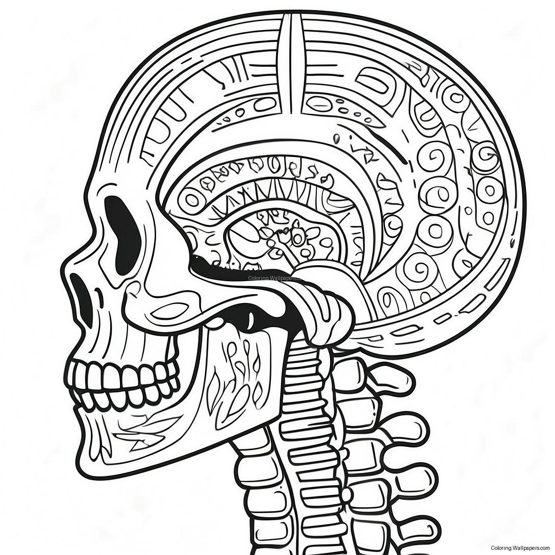 Detailed Human Skeleton Coloring Page 53369