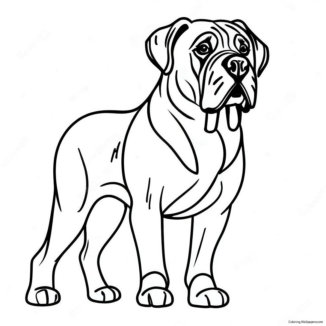 Engelse Mastiff Trots Staand Kleurplaat 58682