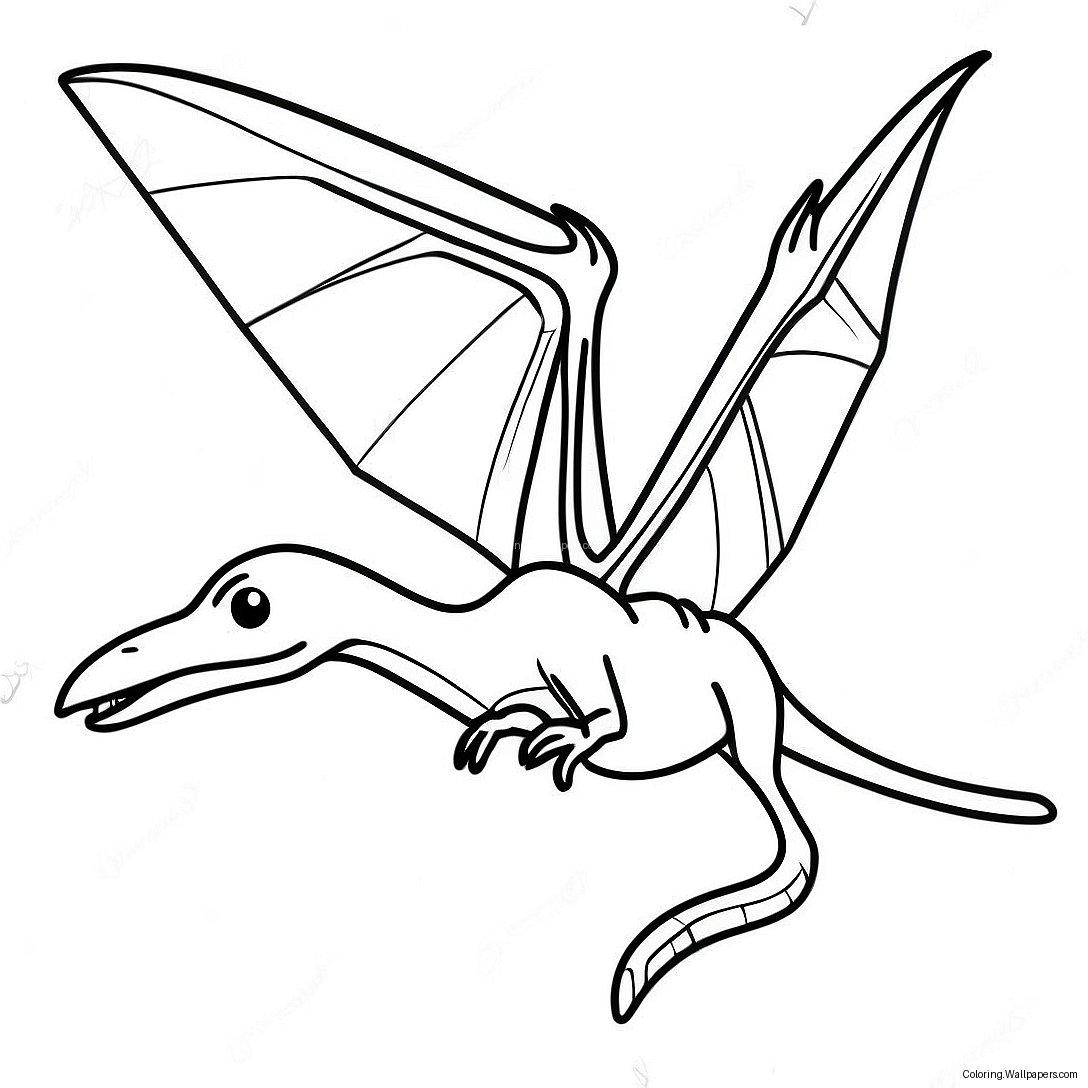 Uçan Pteranodon Boyama Sayfası 47082