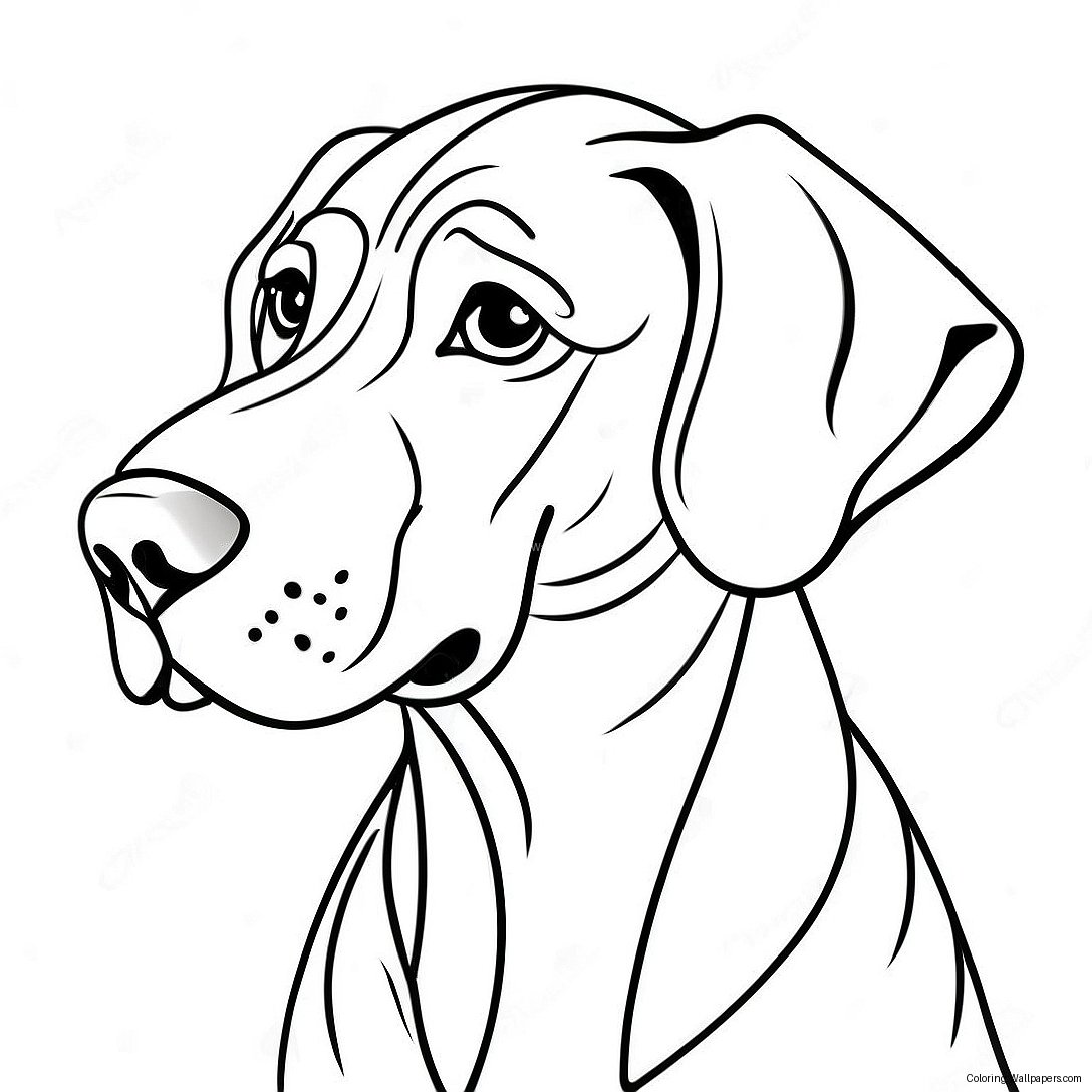 Great Dane Coloring Page 31231