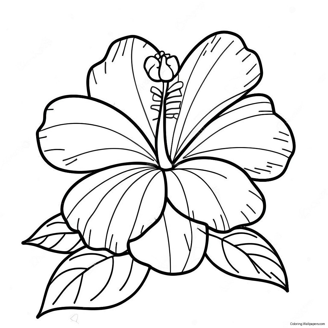 Hibiscus Flower Coloring Page 5565