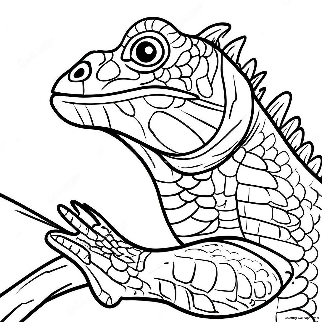 Iguana Coloring Page 10659