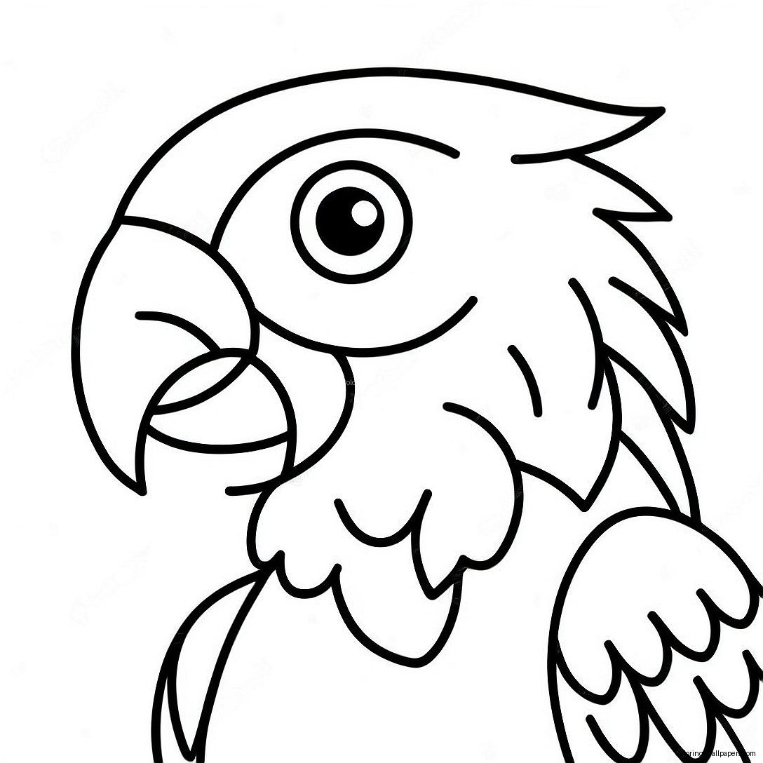 Macaw Coloring Page 19901