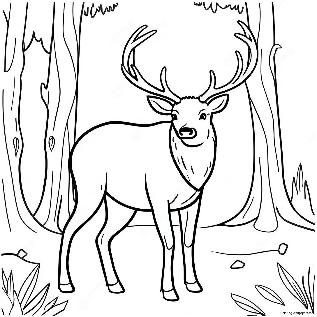 Majestic Elk In The Forest Coloring Page 14578