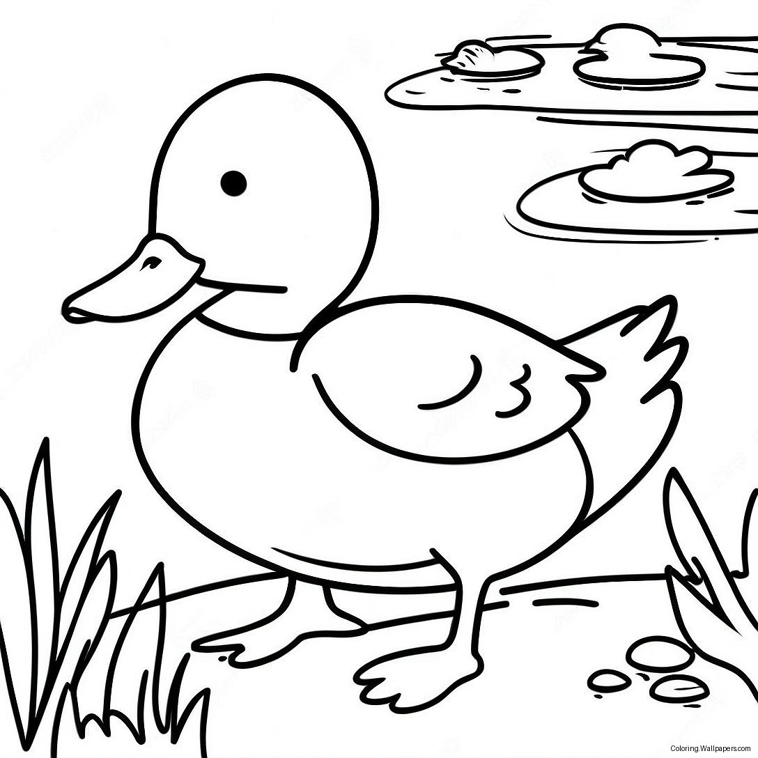 Mallard Duck Coloring Page 35280