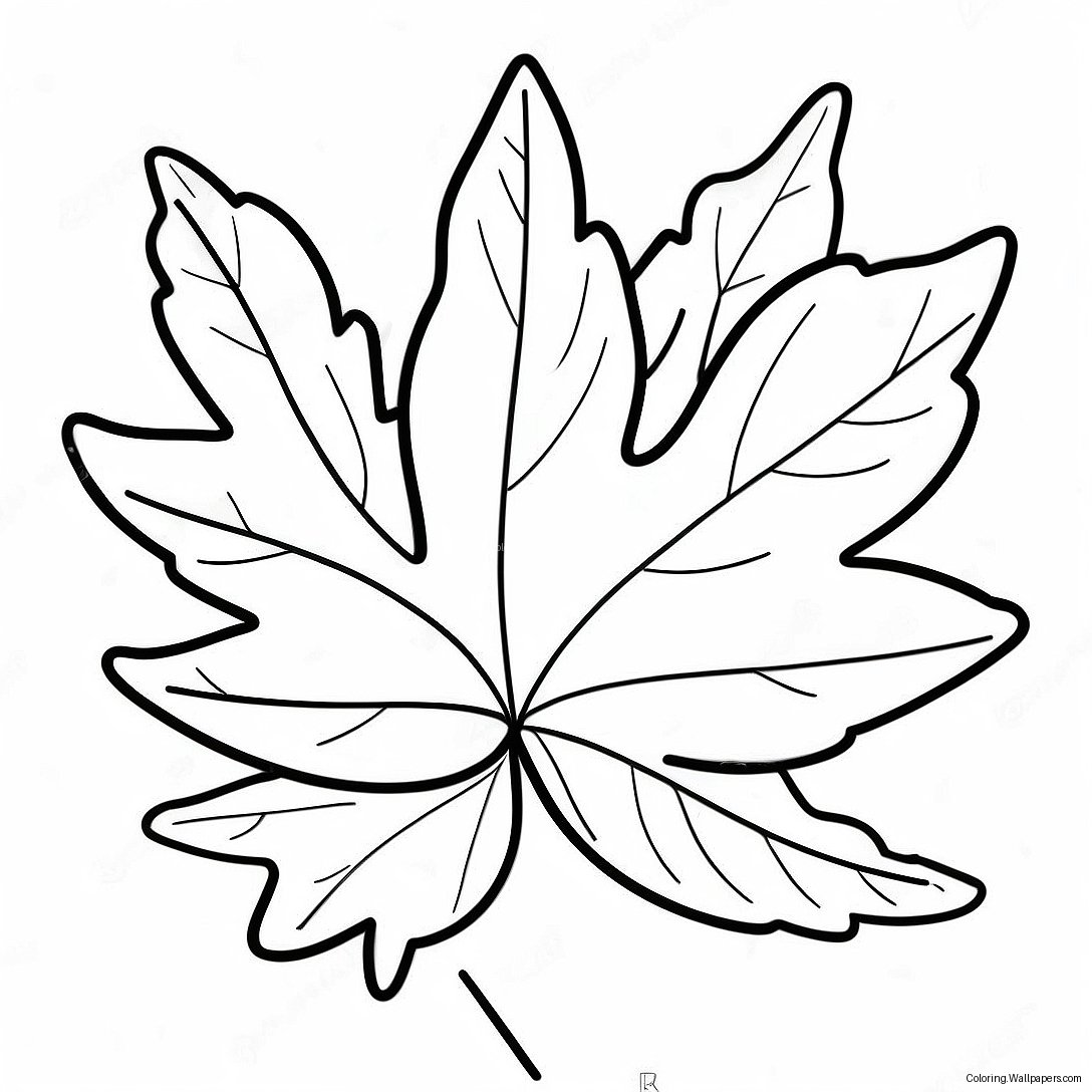 Maple Leaf Coloring Page 31146