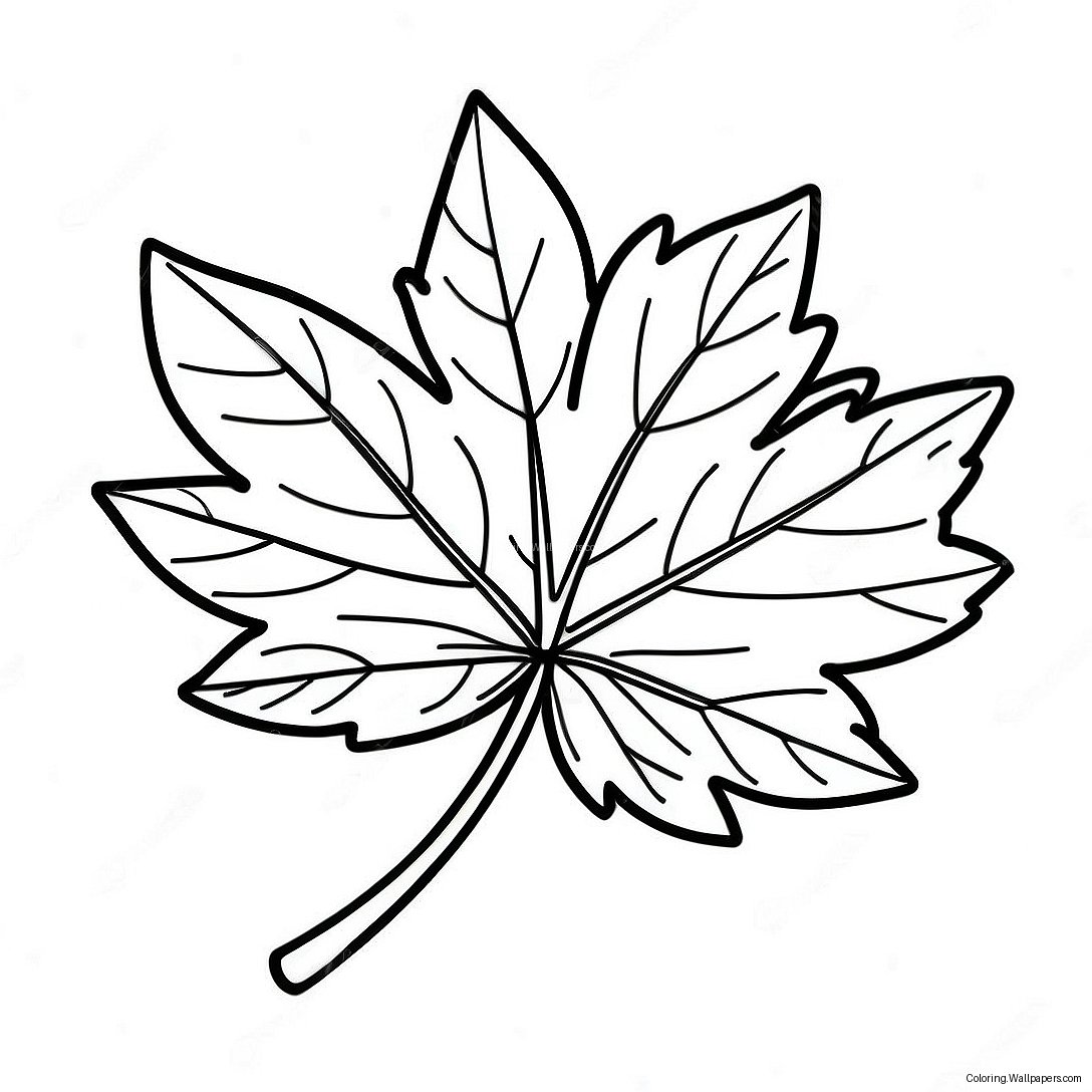 Maple Leaf Coloring Page 31148