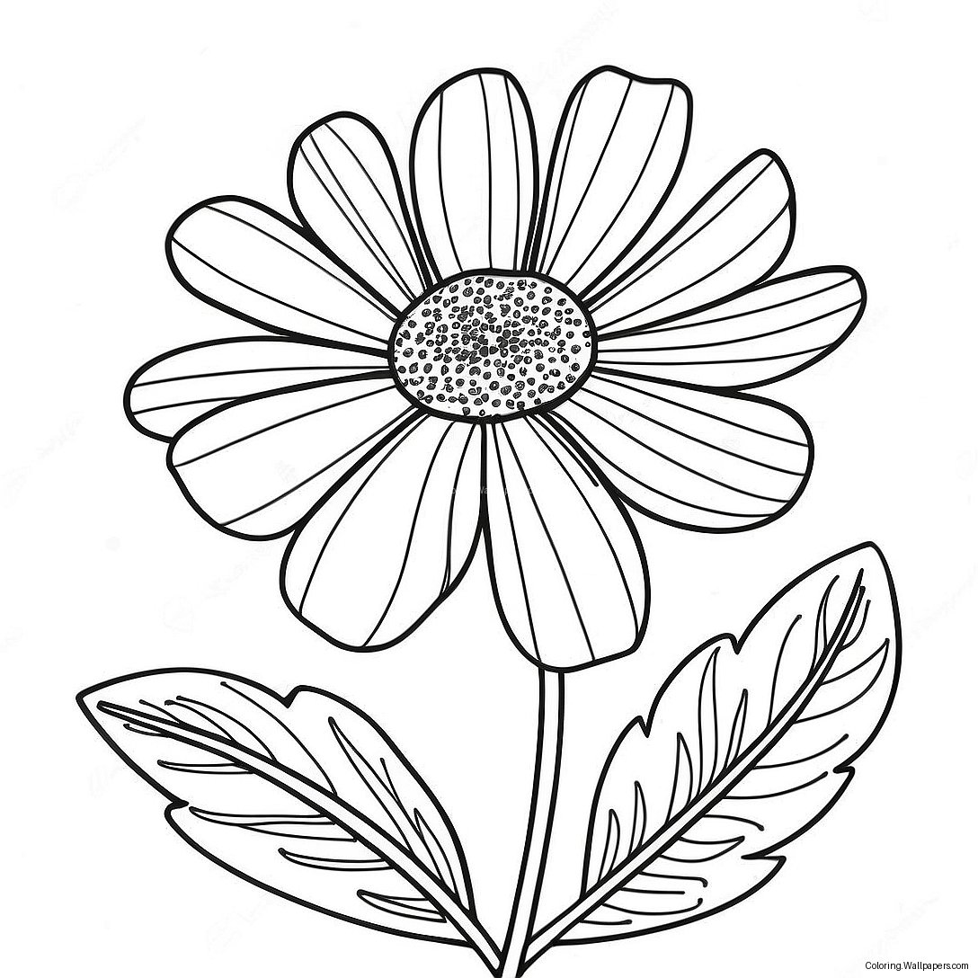 Marigold Flower Coloring Page 32512