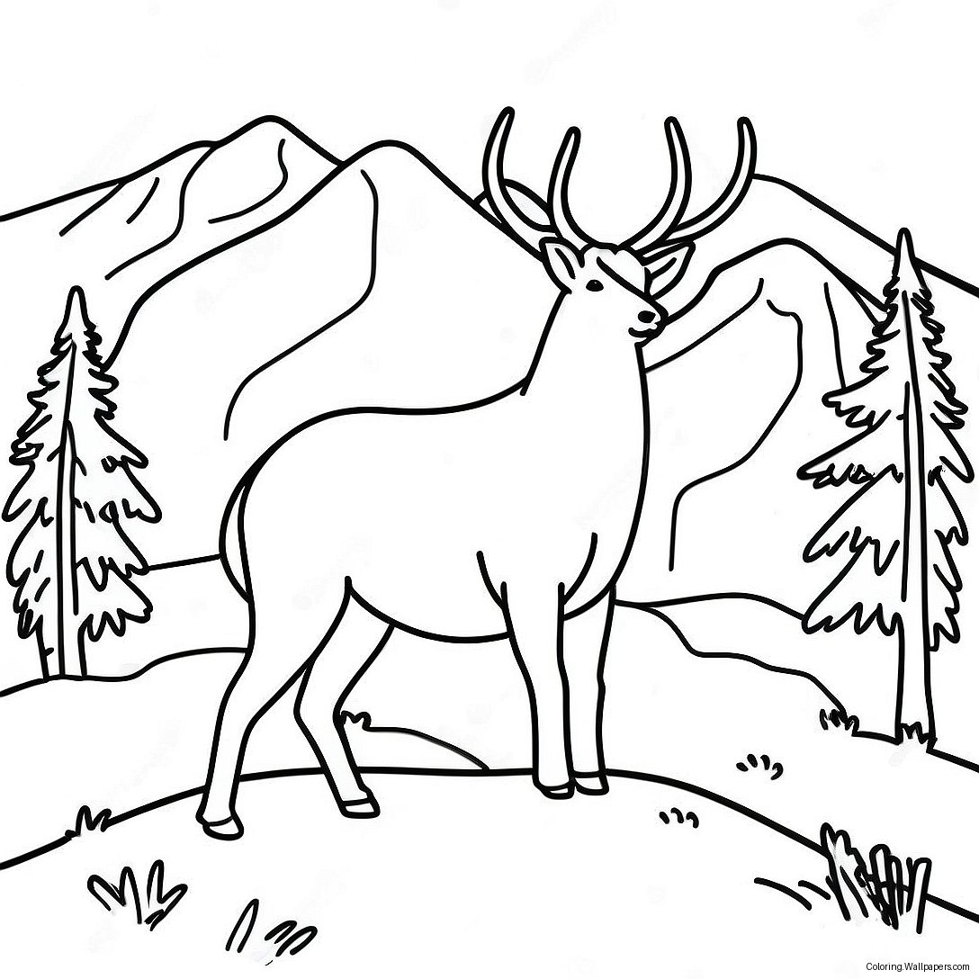 Montana Wildlife Coloring Page 27257