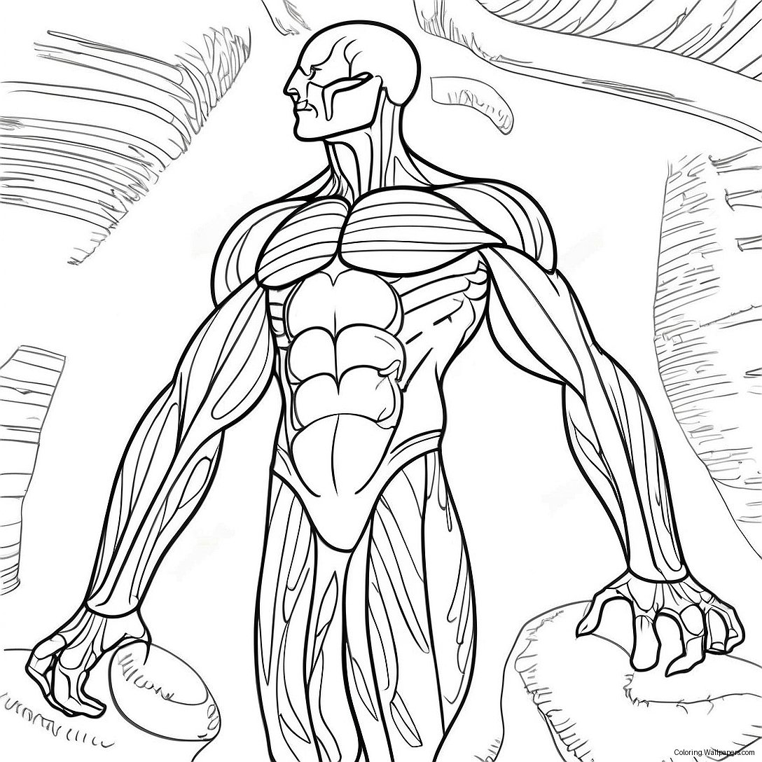 Muscle Anatomy Coloring Page 39997