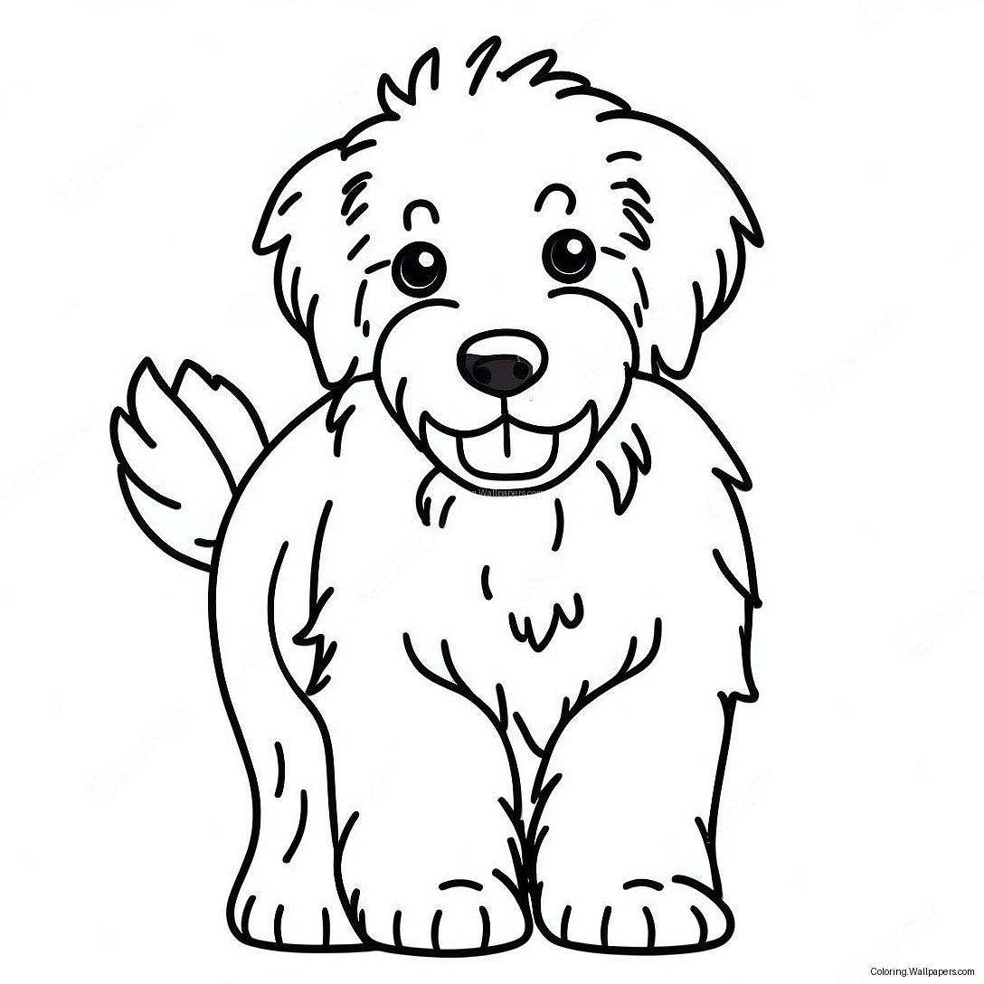 Speelse Aussiedoodle Kleurplaat 43366