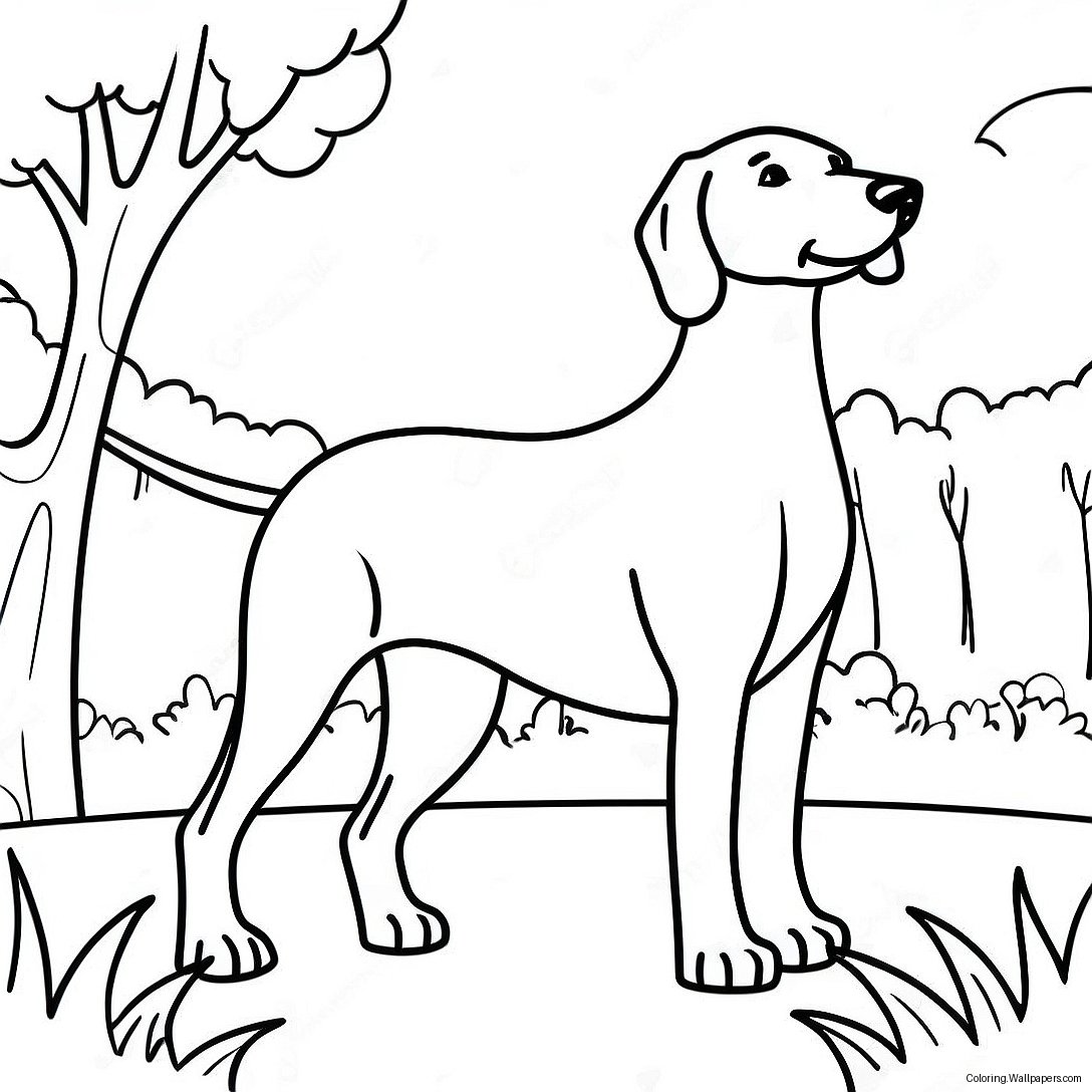 Playful Weimaraner In The Park Coloring Page 52204