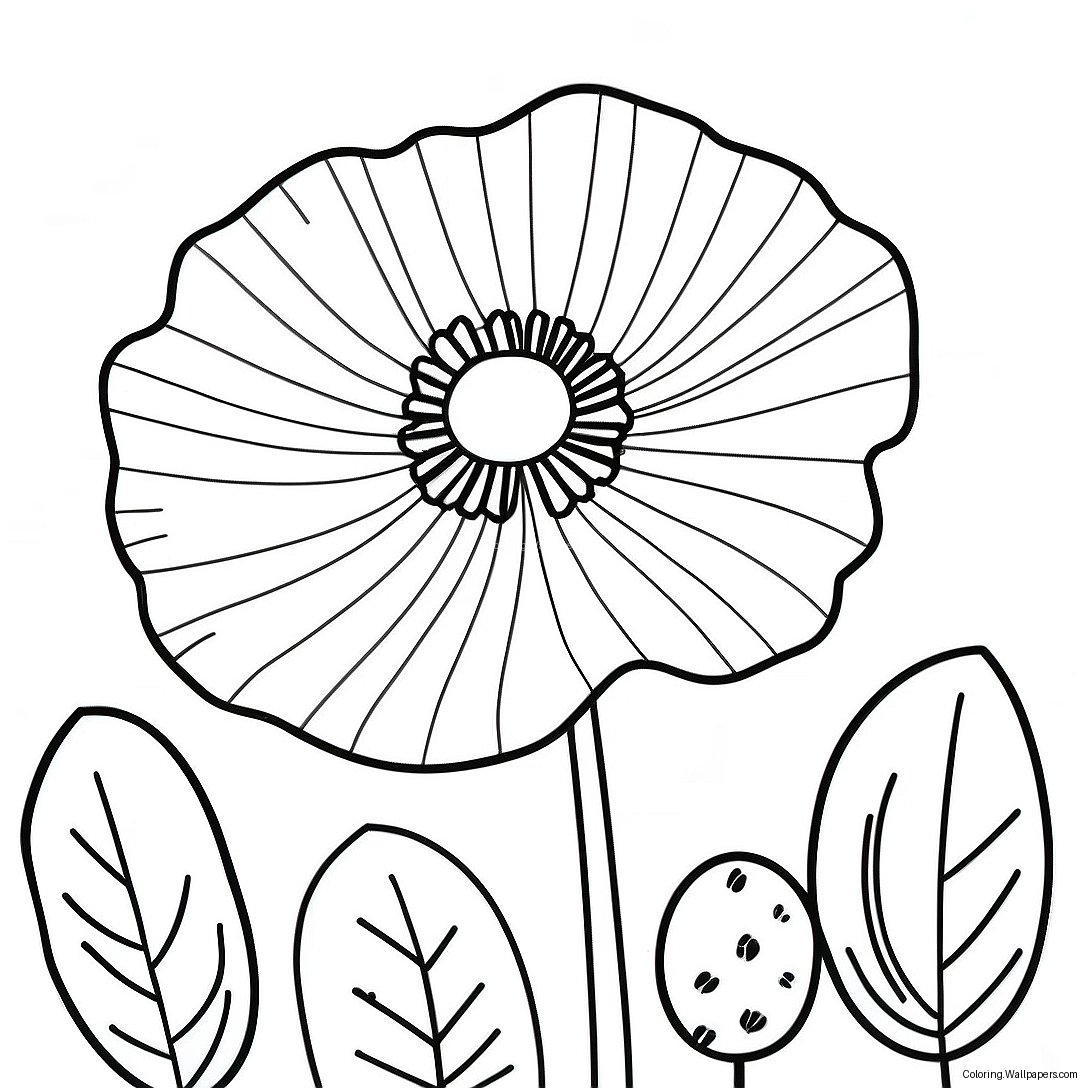 Poppy Flower Coloring Page 37638