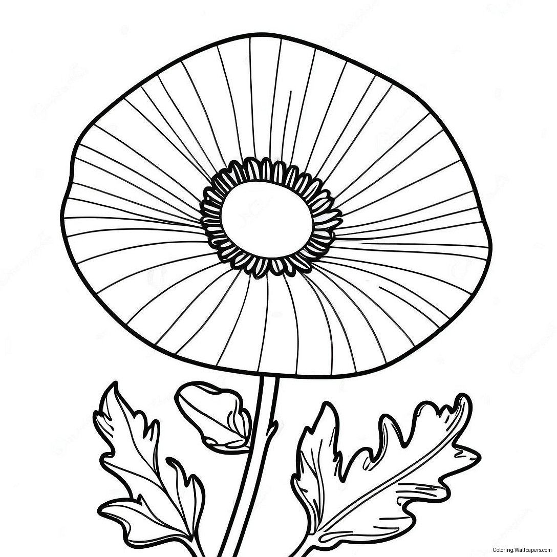 Poppy Flower Coloring Page 37639