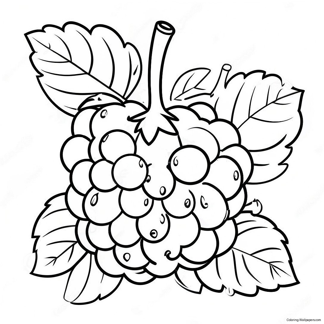 Raspberry Fruit Coloring Page 39123