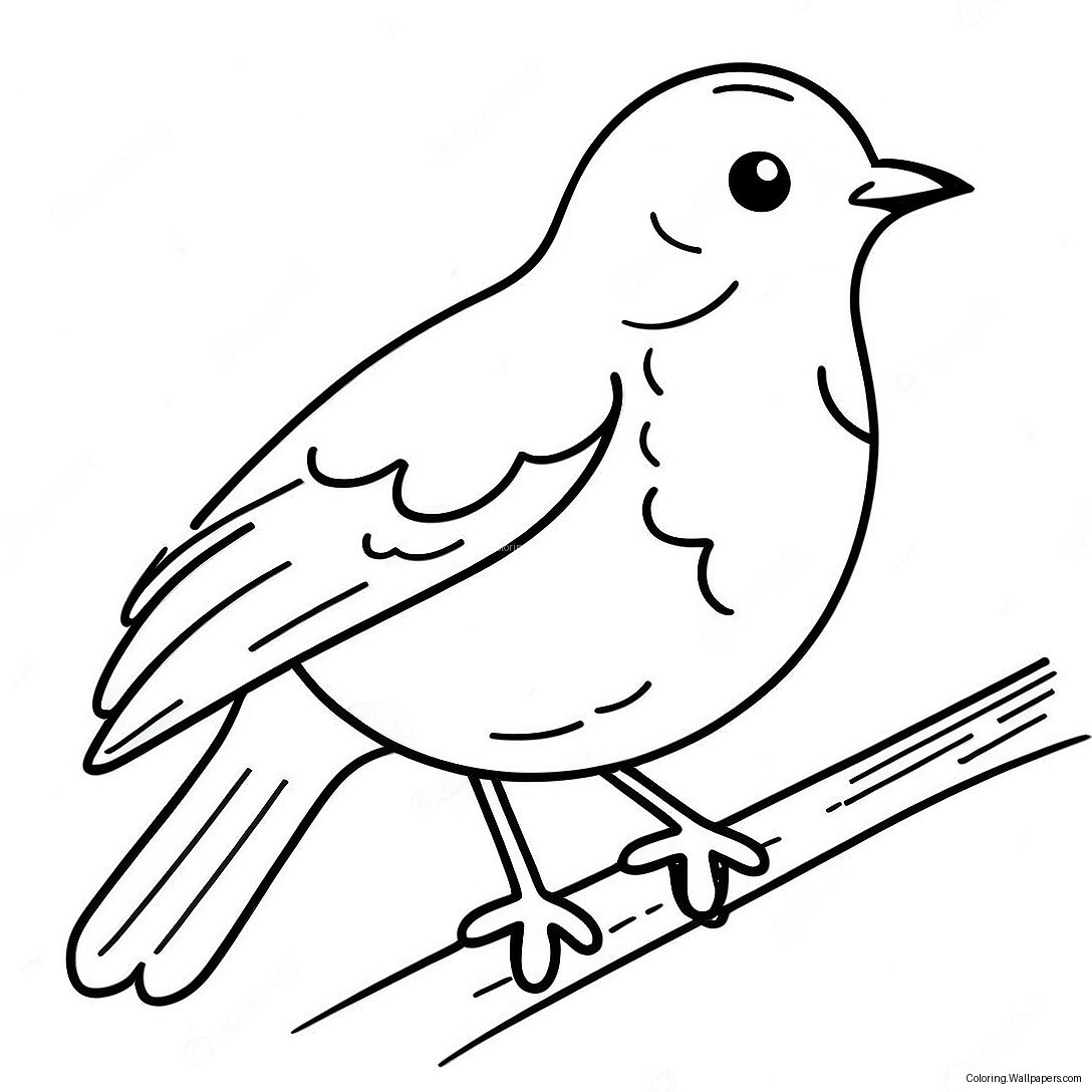 Robin Coloring Page 12787