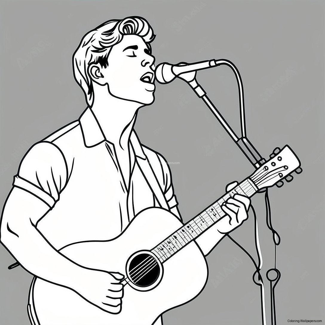 ระบายสีชอว์น เมนเดสร้องเพลงบนเวที 48286