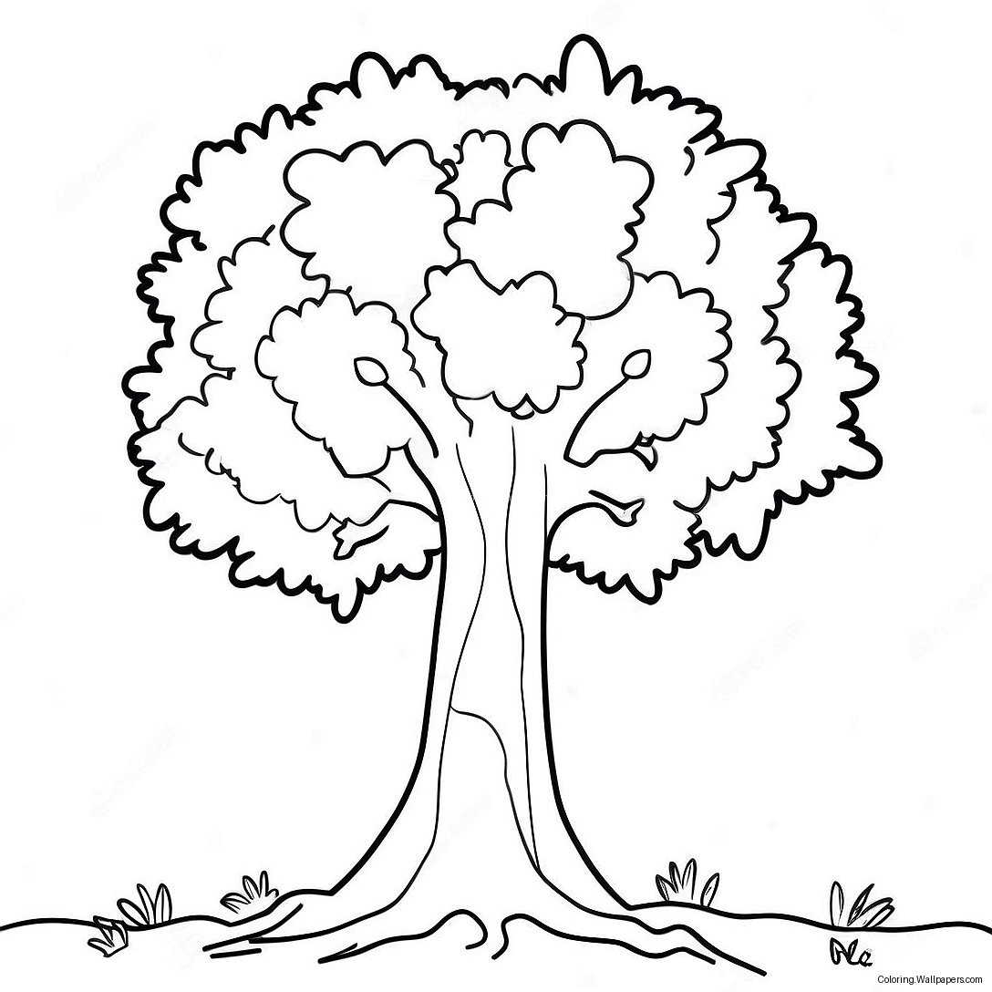 Truffula Tree Coloring Page 31648