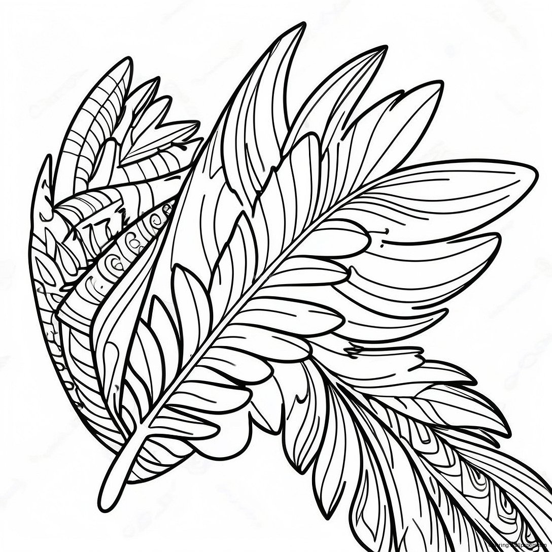 Página Para Colorear De Pluma De Pavo 26103