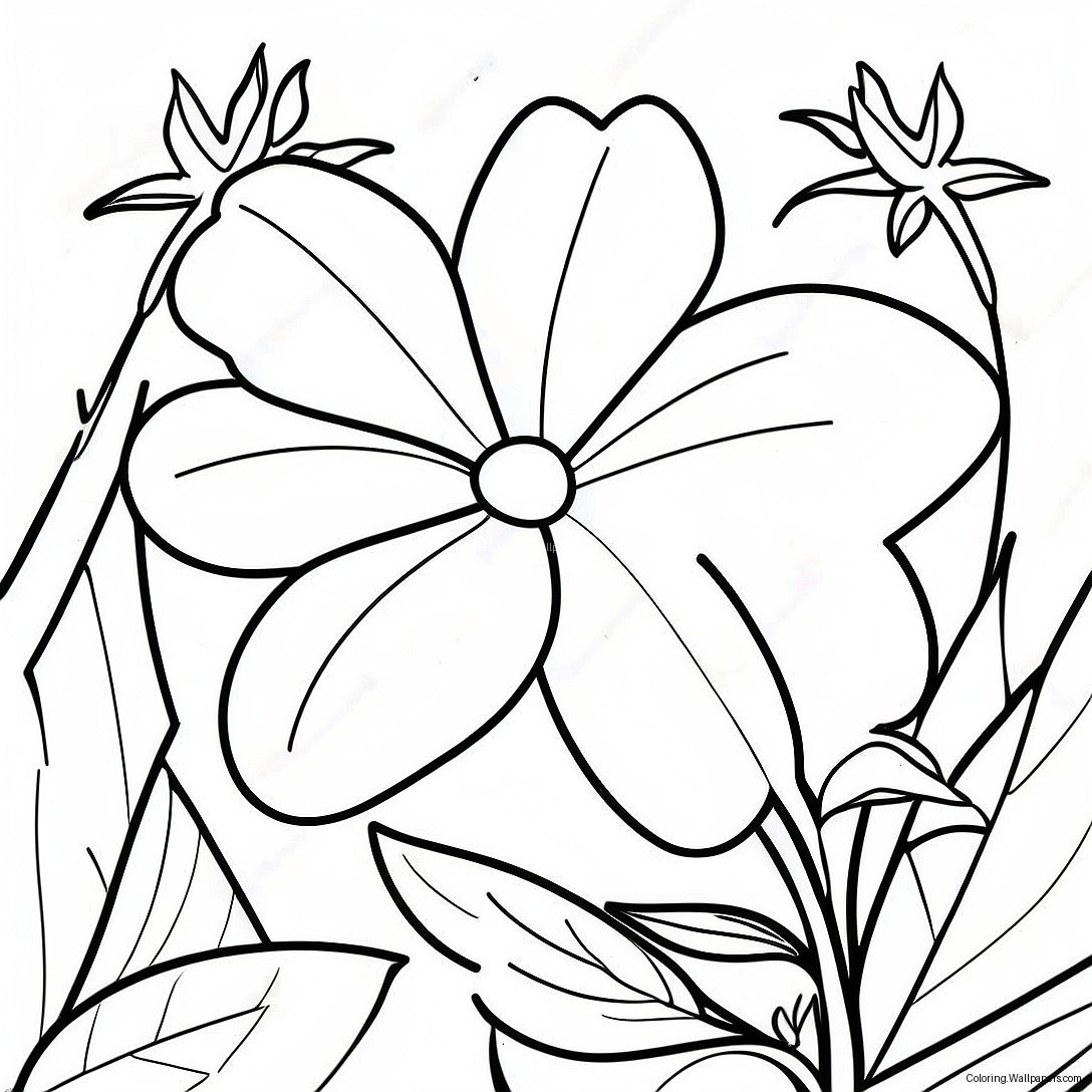 Vibrant Morning Glory Coloring Page 53337