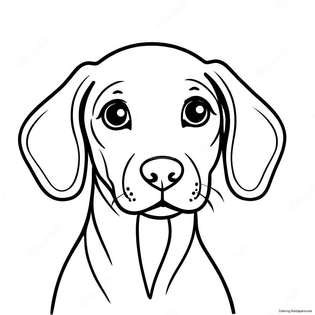 Página Para Colorir Do Filhote De Weimaraner 52199