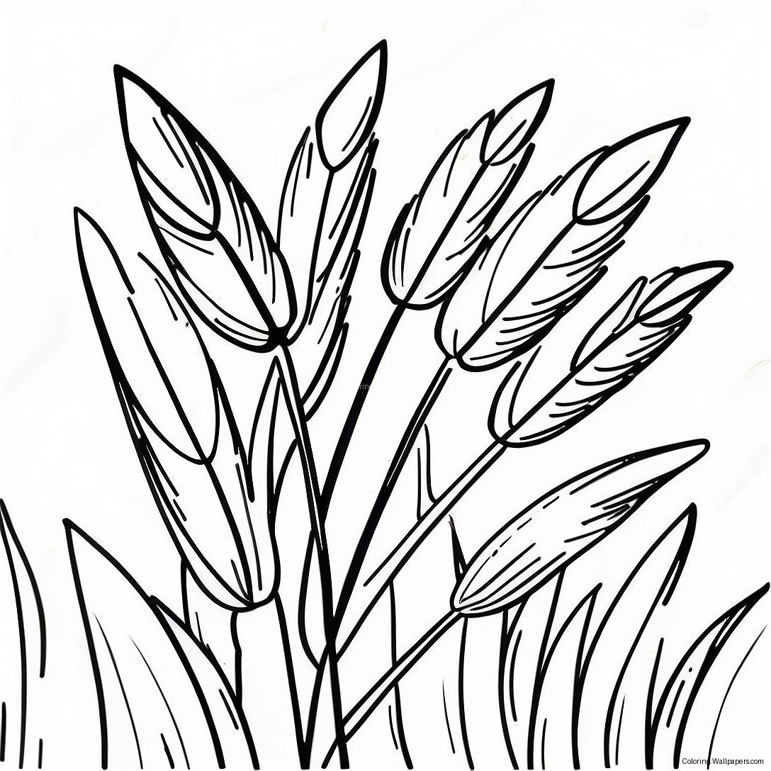 Wheat Coloring Page 35460