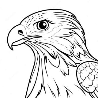 Hawk Coloring Page 10820-8586